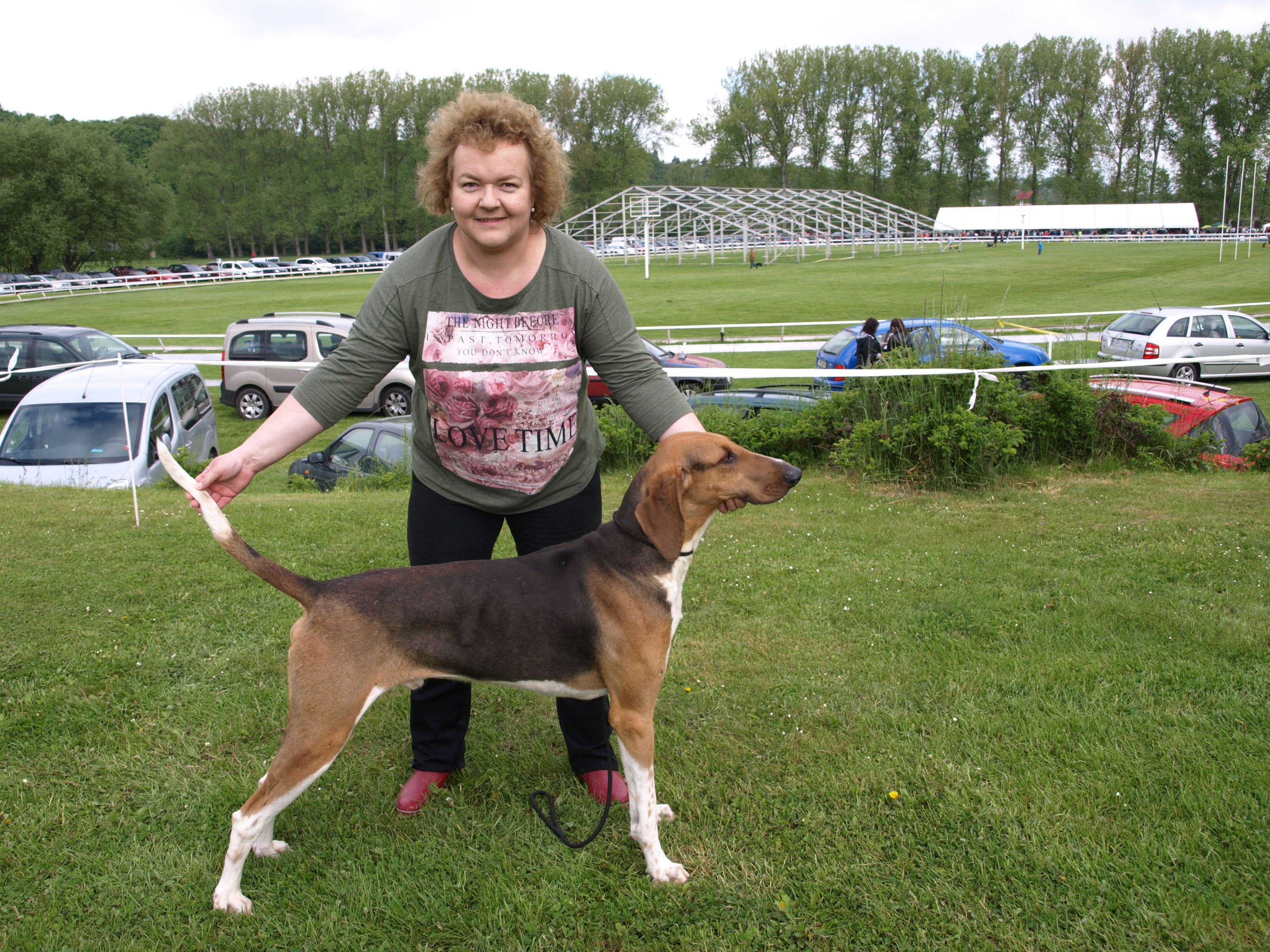 Herisson